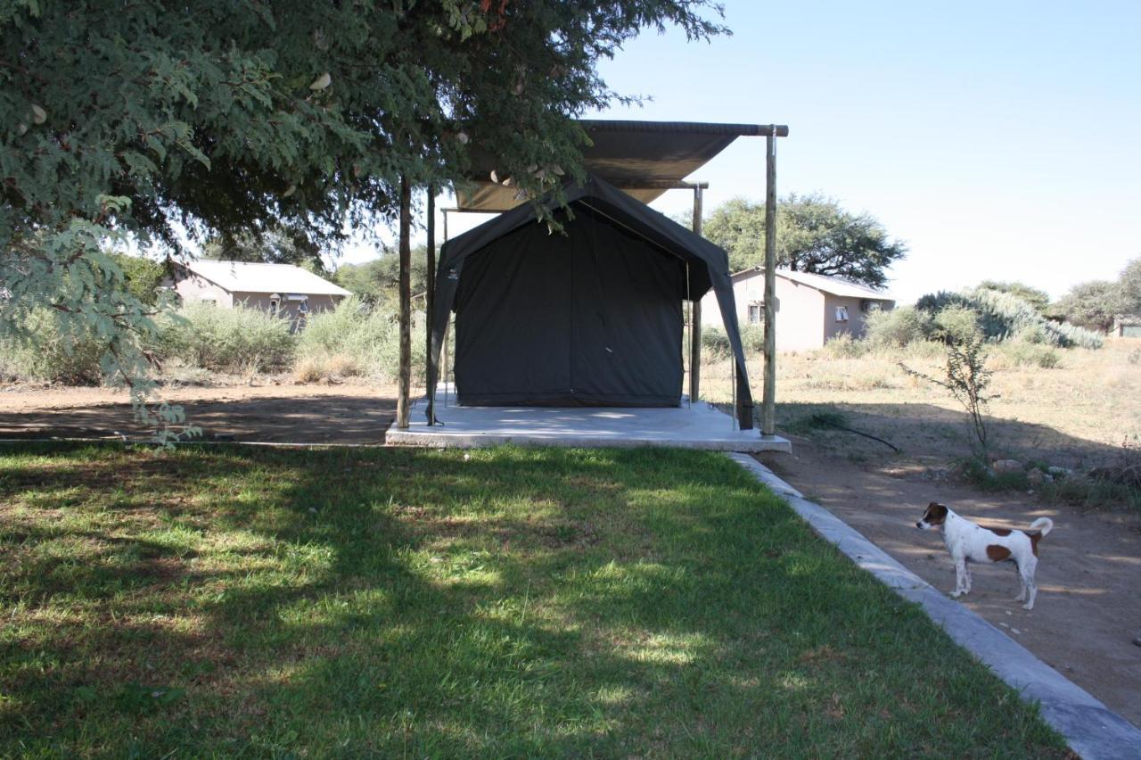 Out Of Nature Country Lodge Windhoek Bagian luar foto