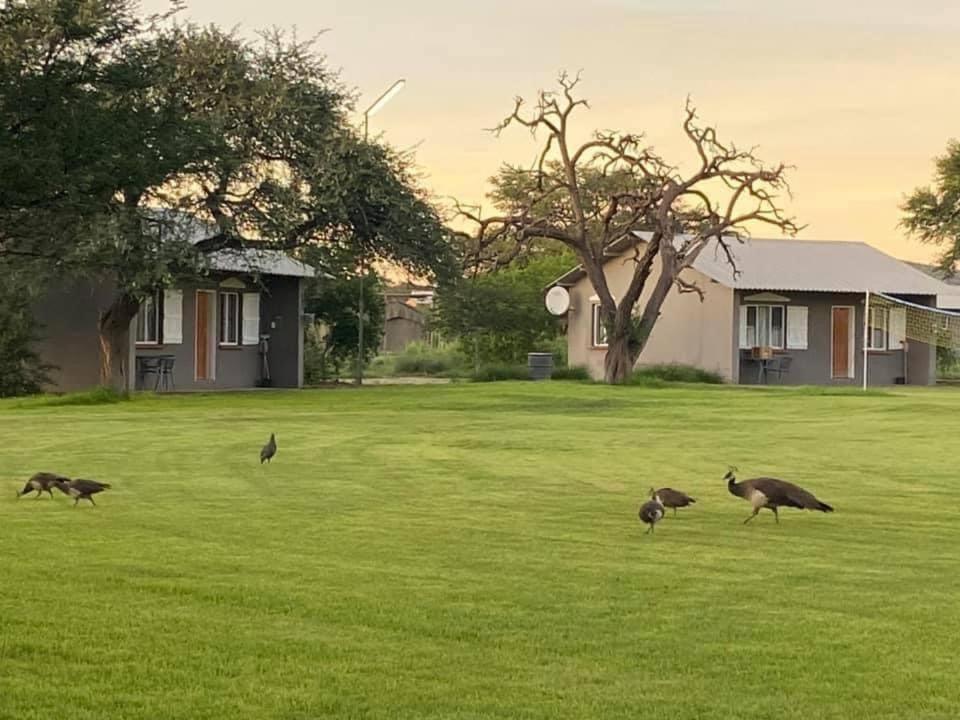 Out Of Nature Country Lodge Windhoek Bagian luar foto