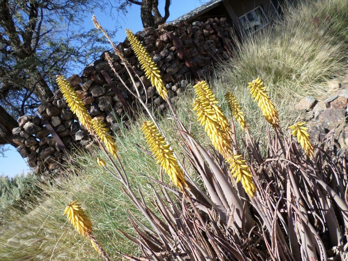 Out Of Nature Country Lodge Windhoek Bagian luar foto