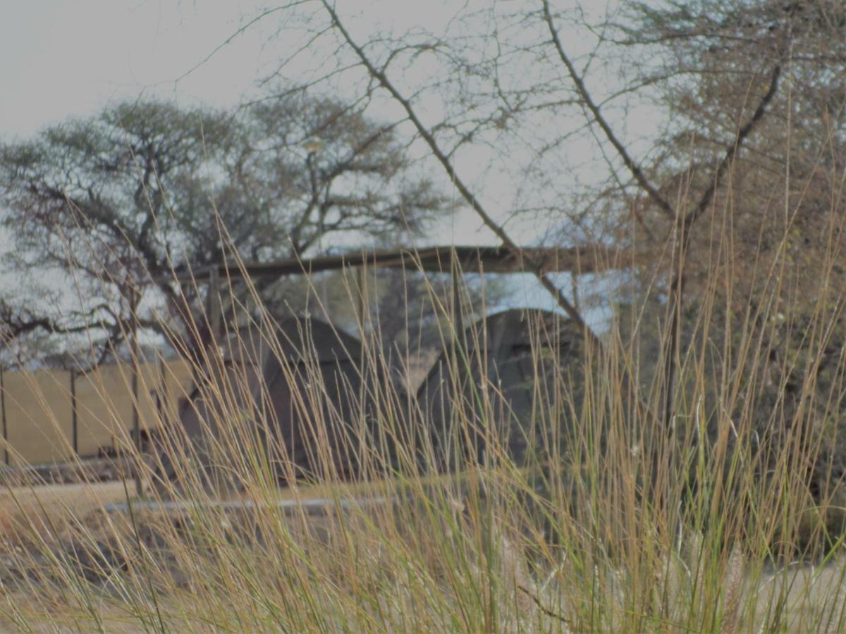 Out Of Nature Country Lodge Windhoek Bagian luar foto