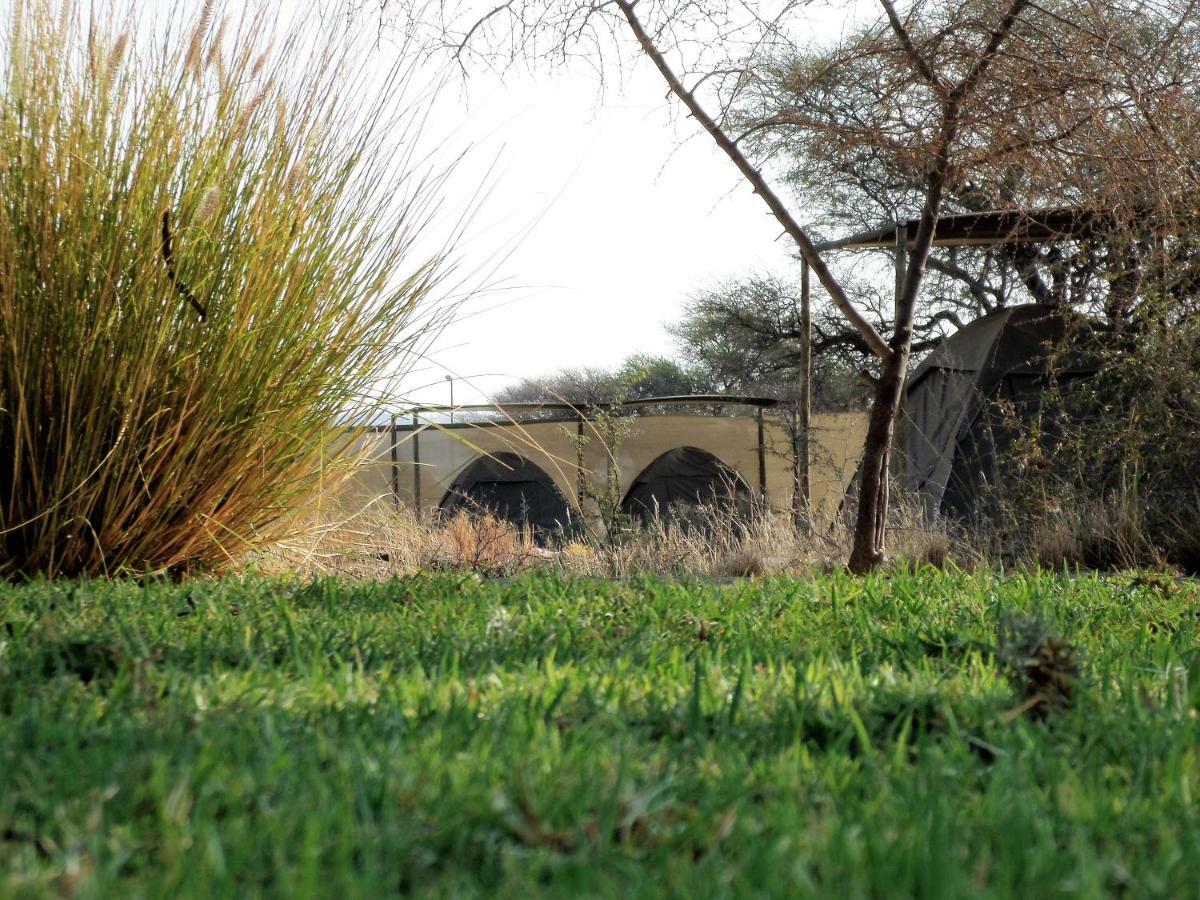 Out Of Nature Country Lodge Windhoek Bagian luar foto